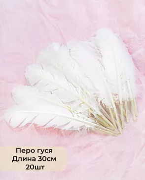 Перо гуся дл.30см 20шт арт. ППР-7-1-33645.001 Перо гуся дл.30см 20шт арт. ППР-7-1-33645.001