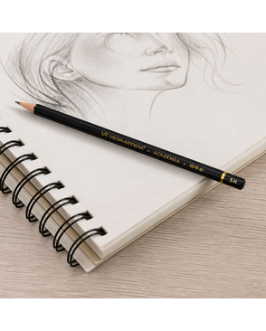 "VISTA-ARTISTA" VAPN-01 Карандаш графитный ACADEMIA 12 шт. арт. ГММ-6925-1-ГММ0080470
