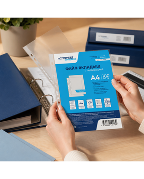 "Expert Complete" Classic А4 Файл-вкладыш матовый 35 мкр. 100 шт. арт. ГММ-105745-1-ГММ071823509264
