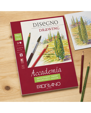 "Fabriano" Альбом Скетчбук "Accademia" 200 г/м2 A4 21 х 29.7 см арт. ГММ-118139-1-ГММ133893390294