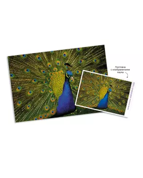 "ФРЕЯ" Пазл 500 деталей 32.5 x 47.5 см арт. ГММ-100651-64-ГММ140227120894